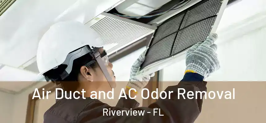  Air Duct and AC Odor Removal Riverview - FL