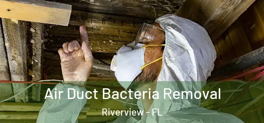  Air Duct Bacteria Removal Riverview - FL