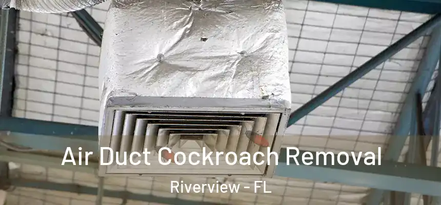  Air Duct Cockroach Removal Riverview - FL