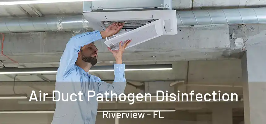  Air Duct Pathogen Disinfection Riverview - FL