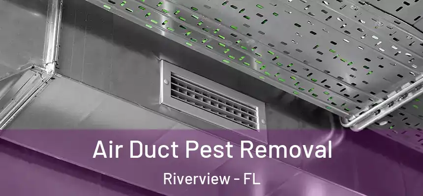  Air Duct Pest Removal Riverview - FL