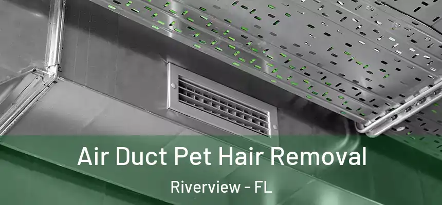 Air Duct Pet Hair Removal Riverview - FL