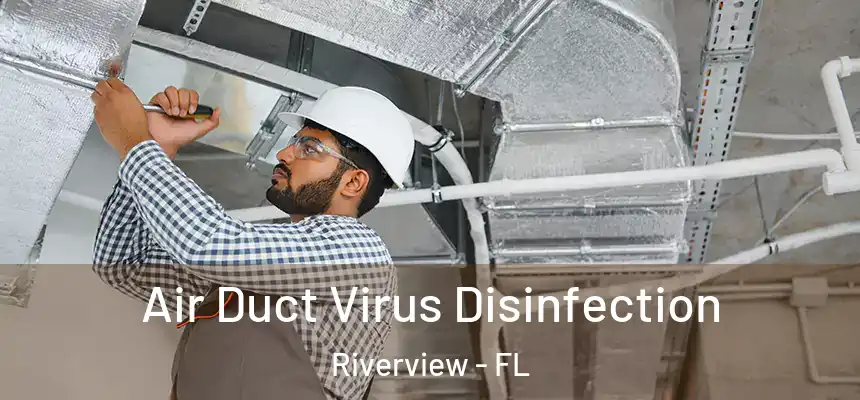  Air Duct Virus Disinfection Riverview - FL