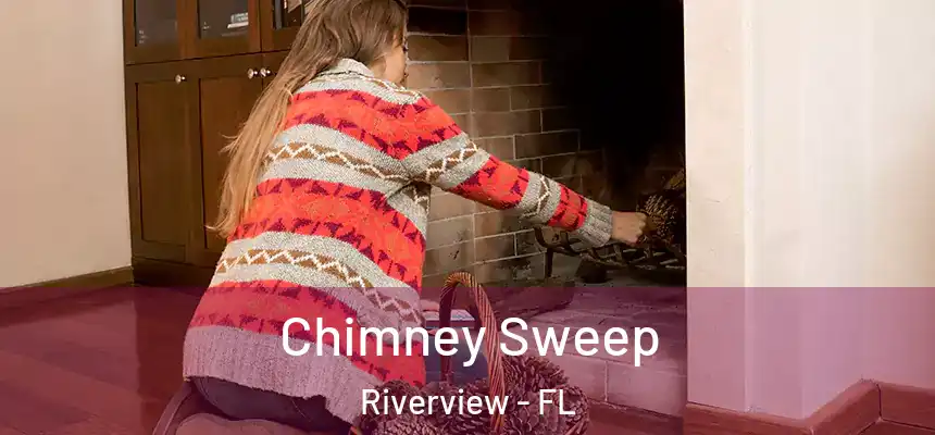  Chimney Sweep Riverview - FL