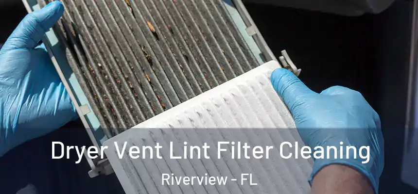  Dryer Vent Lint Filter Cleaning Riverview - FL