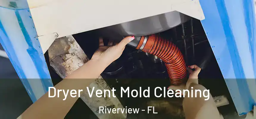  Dryer Vent Mold Cleaning Riverview - FL