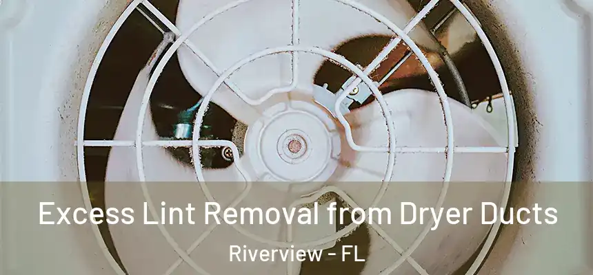  Excess Lint Removal from Dryer Ducts Riverview - FL
