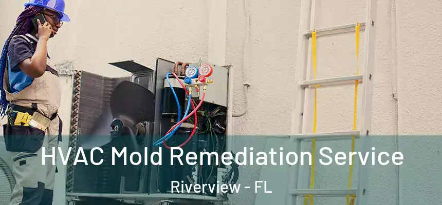  HVAC Mold Remediation Service Riverview - FL