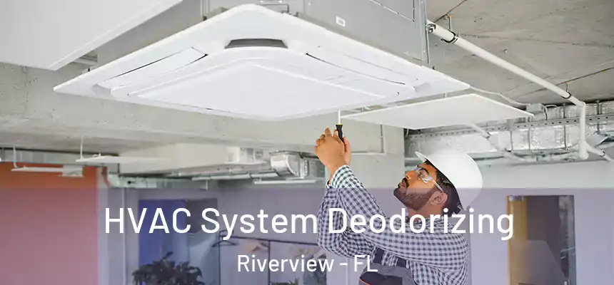  HVAC System Deodorizing Riverview - FL