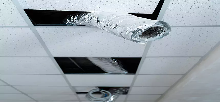 Our Air Duct Pet Hair Removal Services in Riverview, FL