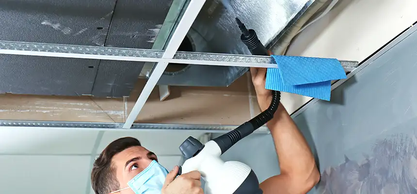 Our Air Duct Rodent Removal Services in Riverview, FL