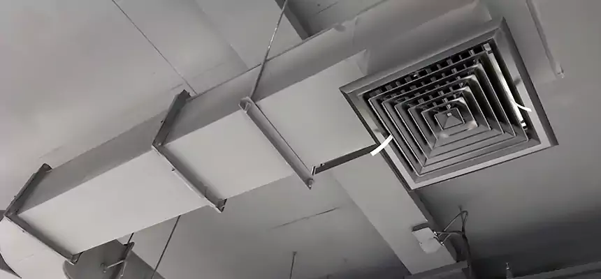 Restorative Allergy Relief Vent Cleaning – Coil, Blower & Housing Detail in Riverview