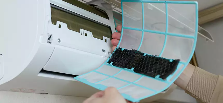 Gentle Ductwork Odor-Control Pet Dander Duct Cleaning in Riverview, FL