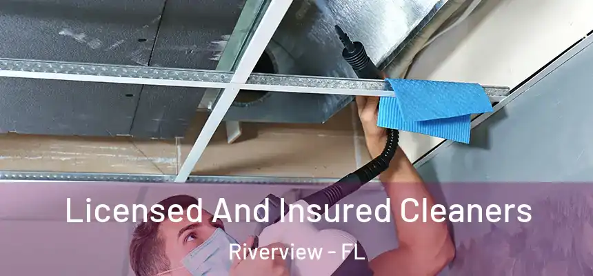  Licensed And Insured Cleaners Riverview - FL