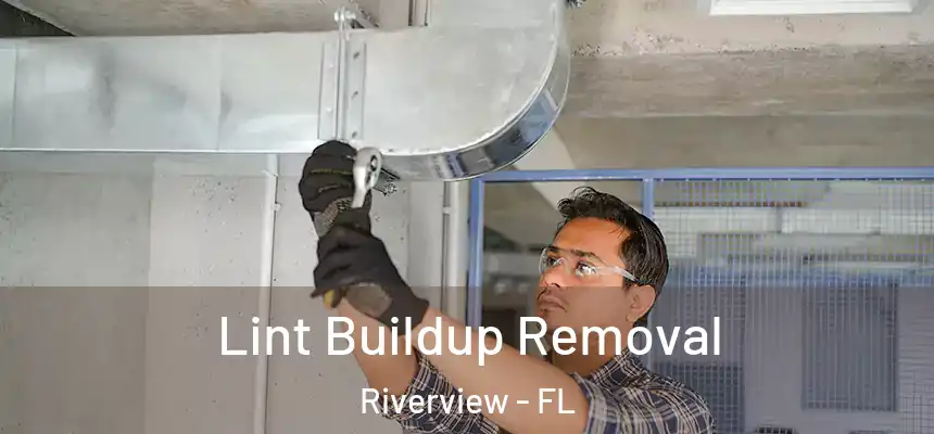  Lint Buildup Removal Riverview - FL