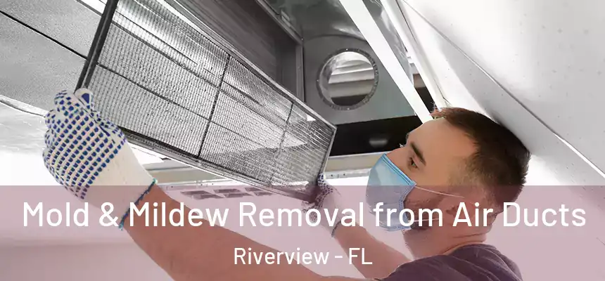  Mold & Mildew Removal from Air Ducts Riverview - FL