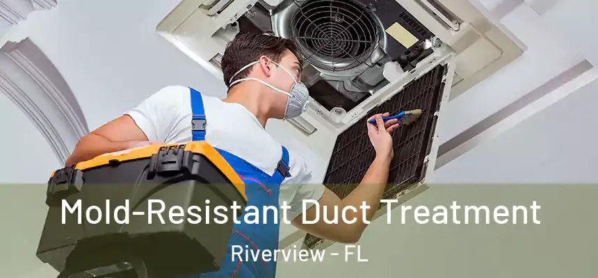  Mold-Resistant Duct Treatment Riverview - FL