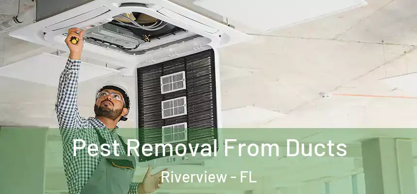  Pest Removal From Ducts Riverview - FL