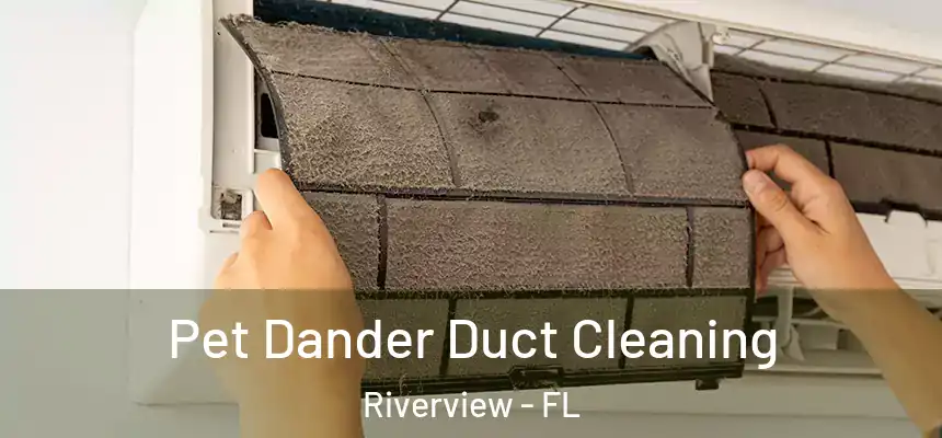  Pet Dander Duct Cleaning Riverview - FL