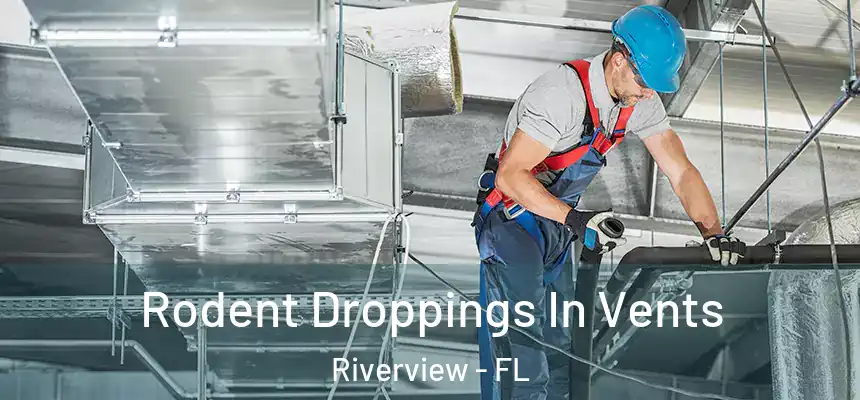 Rodent Droppings In Vents Riverview - FL