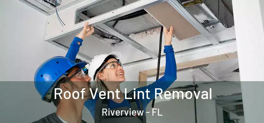  Roof Vent Lint Removal Riverview - FL
