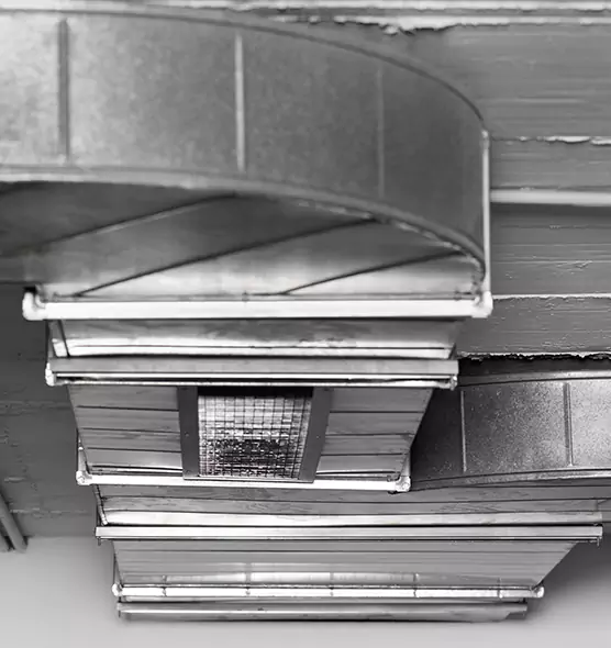 Professional Air Duct Pest Removal in Riverview, FL