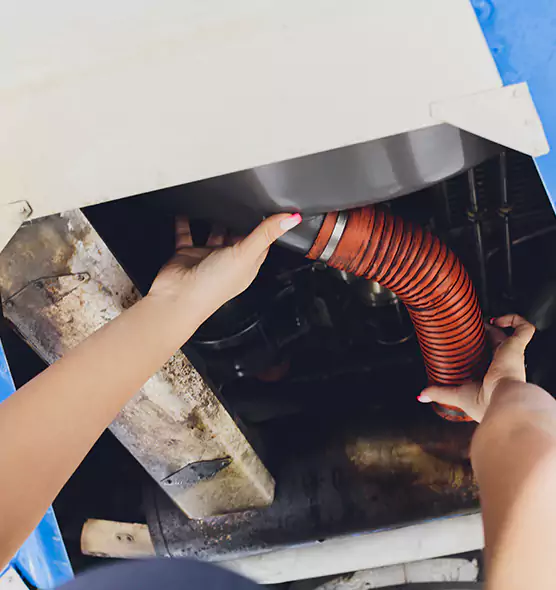 About Air Duct Virus Disinfection in Riverview, FL