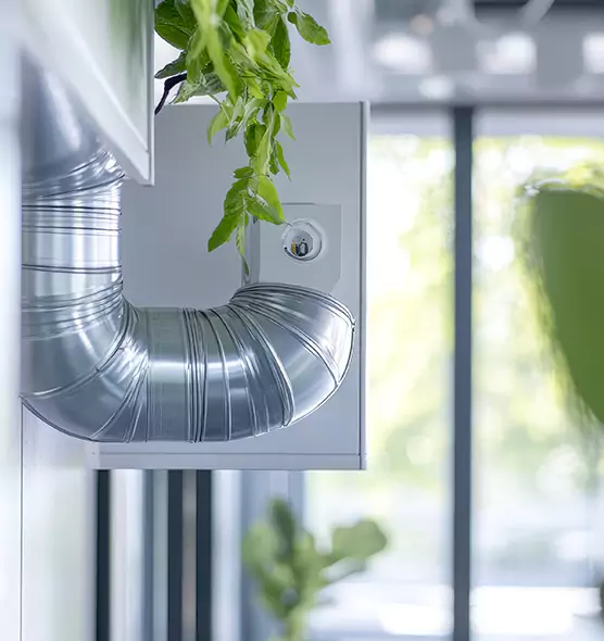 Professional Eco-Friendly Duct Cleaning Services in Riverview, FL