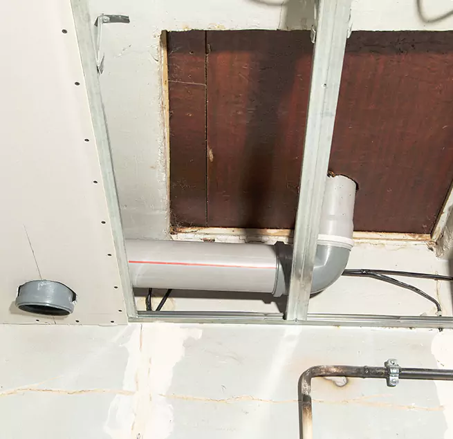 Why Homeowners & Businesses Trust Us in Riverview, FL?