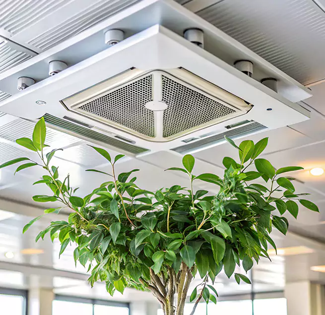 Why Homeowners & Businesses Trust Us in Riverview, FL?