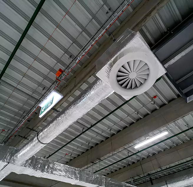 Why Homeowners & Businesses Trust Us in Riverview, FL