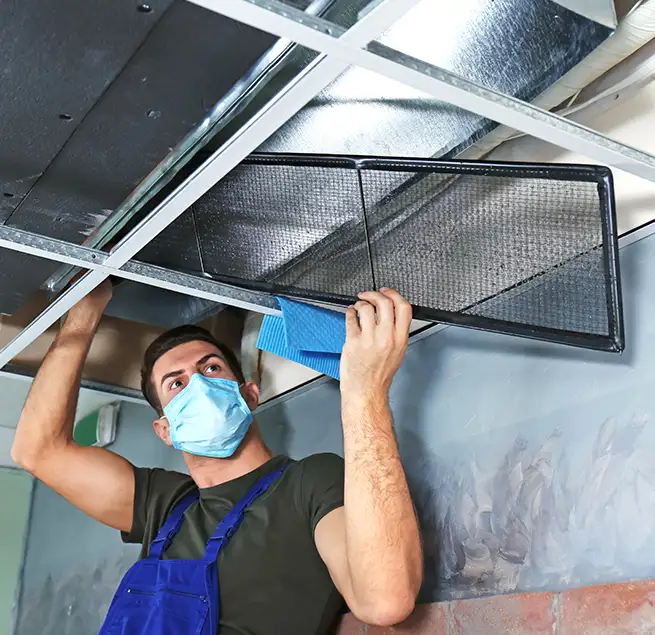 Why Homeowners & Businesses Trust Us in Riverview, FL?